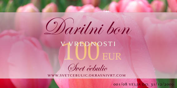 Darilni bon 100 EUR