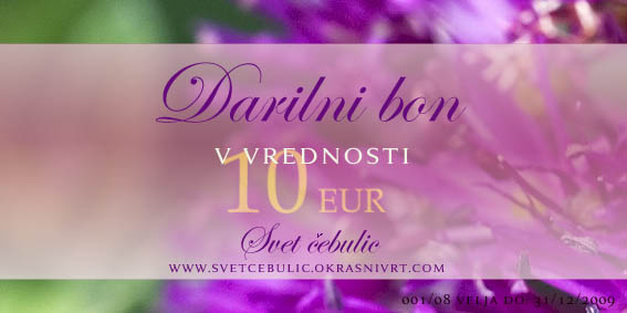 Darilni bon 10 EUR