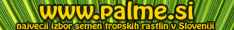 Palme.si